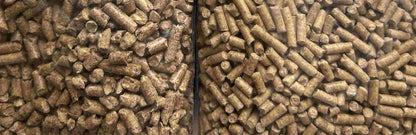 Masters Mix er et spesialisert substrat designet for dyrking av gourmetsopp. 2kg.